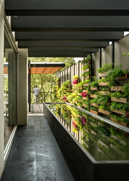 Dossier de presse | 3079-01 - Communiqué de presse | Villa Jardín,a Dialog Between the Constructed Building and its Environment - ASP Arquitectura Sergio Portillo - Architecture résidentielle - Crédit photo : Rafael Gamo
