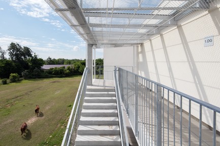 Dossier de presse | 2250-02 - Communiqué de presse | M GRUND - Social Housing in Vienna - NERMA LINSBERGER ZTGMBH - Architecture résidentielle - Crédit photo : Daniel Hawelka