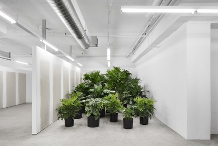 Dossier de presse | 1677-03 - Communiqué de presse | SSENSE - Atelier Barda architecture - Design d’intérieur commercial - Crédit photo : Adrien Williams