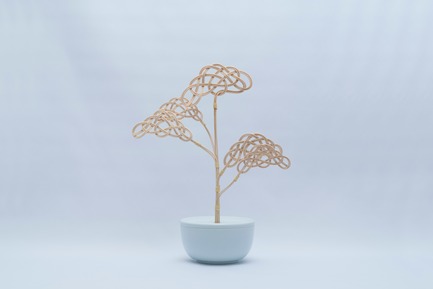 Dossier de presse | 2704-02 - Communiqué de presse | Record Numbers for its Birthday: The 15th Pure Talents Contest at imm cologne Shows an Up-to-Date Cross-Section of the Young, International Design Scene - imm cologne 2018, Koelnmesse - Concours - A hint of luck: The fragrance dispenser Bonsay by the Japanese designer Takafumi Nemoto picks up on old handicraft techniques and a traditional way of thinking, because its complicated branches made of natural materials and entwined per hand not only emanate a fragrance, but also luck.In the Japanese culture, knotting and knitting are considered to be a symbol for uniting the past and its continuation in the future.<span></span> - Crédit photo : Nemoto/Koelnmesse 