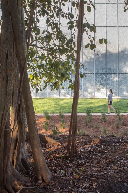 Dossier de presse | 2353-02 - Communiqué de presse | Innovative and Award-Winning Facade of USF-SP's Tiedemann College of Business Recalls Native Coral in Ecofriendly Envelope - ikon.5 architects - Architecture institutionnelle - exterior glass detail - Crédit photo : Brad Feinknopf