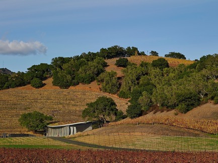 Dossier de presse | 3089-01 - Communiqué de presse | Odette Estate Winery - Signum Architecture LLP - Architecture industrielle - Odette Estate Winery's production facility, 2017 winner of American Architecture Prize for Industrial Building Design. - Crédit photo : Adrian Gregorutti