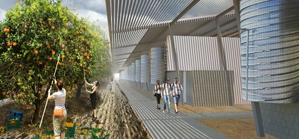 Press kit | 3202-01 - Press release | Coachella Valley High School Agriculture + Natural Resources Academy - PJHM Architects - Institutional Architecture - CVHS Agriculture + Natural Resources - Orchard Walk - Photo credit: PJHM Architects