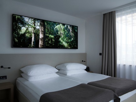 Dossier de presse | 3141-01 - Communiqué de presse | Forest of Eden - SofijaSilvia - Art -  Project title: Forest of Eden<br>Lightbox by artist: SofijaSilvia<br>Hotel Eden, Rovinj, Croatia  - Crédit photo : SofijaSilvia
