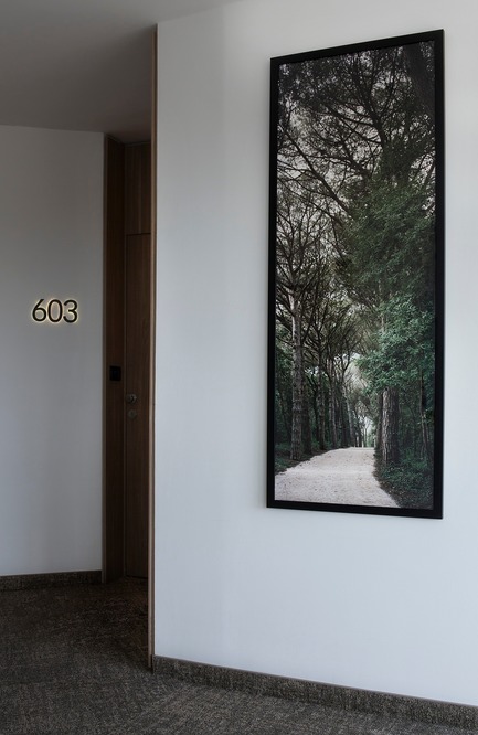 Dossier de presse | 3141-01 - Communiqué de presse | Forest of Eden - SofijaSilvia - Art -  Project title: Forest of Eden<br>Artist: SofijaSilvia<br>Hotel Eden, Rovinj, Croatia  - Crédit photo : SofijaSilvia
