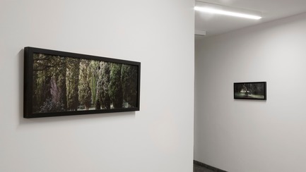Dossier de presse | 3141-01 - Communiqué de presse | Forest of Eden - SofijaSilvia - Art -  Project title: Forest of Eden<br>Artist: SofijaSilvia<br>Hotel Eden, Rovinj, Croatia  - Crédit photo : SofijaSilvia