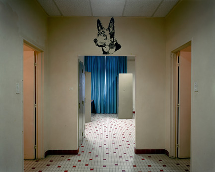 Press kit | 701-09 - Press release | Lynne Cohen, Laurent Grasso and Tino Sehgal - Musée d'art contemporain de Montréal (MAC) - Event + Exhibition - Untitled (Dog), 2006Lynne CohenÉpreuve à développement chromogène132,1 x 156,8 cmCollection de Nicholas Metivier et Ingrid Roesch