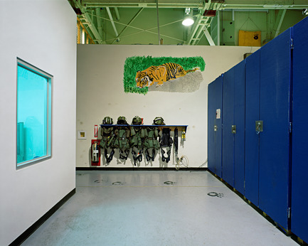 Press kit | 701-09 - Press release | Lynne Cohen, Laurent Grasso and Tino Sehgal - Musée d'art contemporain de Montréal (MAC) - Event + Exhibition - Untitled (Cat’s Paws), 2007Lynne CohenÉpreuve à développement chromogène132,1 x 156,8 cmAvec l’aimable permission de la Olga Korper Gallery, Toronto