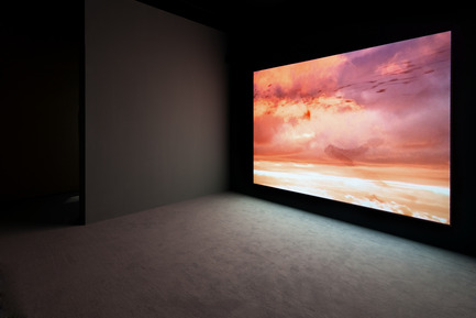 Press kit | 701-09 - Press release | Lynne Cohen, Laurent Grasso and Tino Sehgal - Musée d'art contemporain de Montréal (MAC) - Event + Exhibition - Les Oiseaux, 2008Laurent GrassoVidéo DVCouleur, son, 8 min 55 sAvec l’aimable permission de la Galerie Chez Valentin, Paris / Sean Kelly Gallery NYPhoto : Romain Darnaud© Laurent Grasso / ADAGP 2013