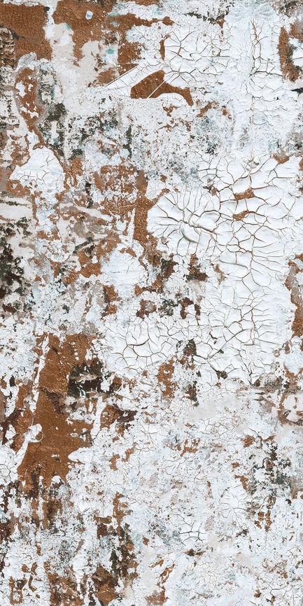 Dossier de presse | 3279-01 - Communiqué de presse | FEATHR and Kiki Slaughter Collaborate on New Wallpaper Collection - FEATHR - Produit - Safari wallpaper in Bronze (detail) by Kiki Slaughter for FEATHR.com - Crédit photo : FEATHR.com/Kiki Slaughter