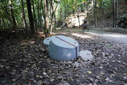 Dossier de presse | 2366-03 - Communiqué de presse | Le projet montréalais Escales découvertes se distingue à l'international - civiliti avec Julie Margot design - Architecture de paysage - Gros plan sur un regroupement d'indices le long d'un sentier moins fréquenté<br> - Crédit photo : Julie Margot