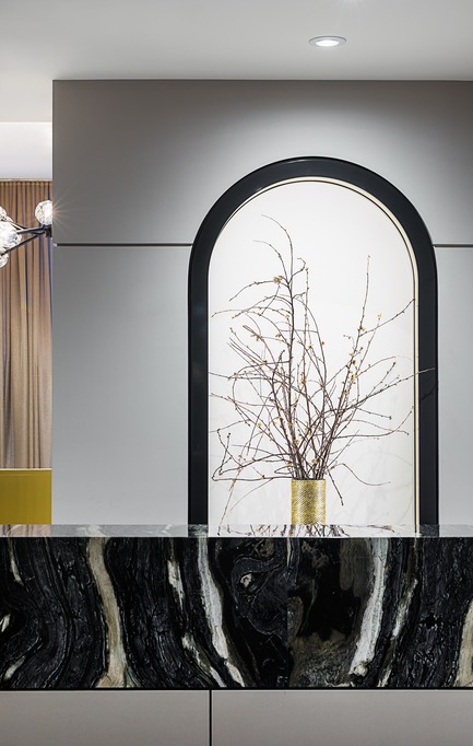 Dossier de presse | 2185-05 - Communiqué de presse | FACE Cosmetic Surgery - Audax - Design d’intérieur commercial - Reception desk with arched niche - Crédit photo : Erik Rotter