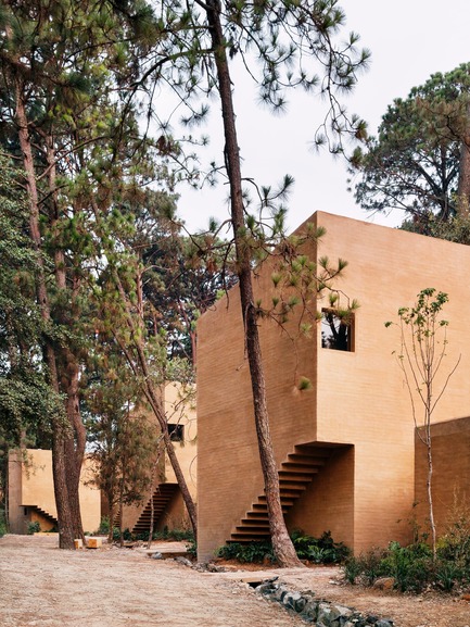 Dossier de presse | 3424-01 - Communiqué de presse | Entre Pinos - Taller Héctor Barroso - Architecture résidentielle - Crédit photo : Rory Gardiner
