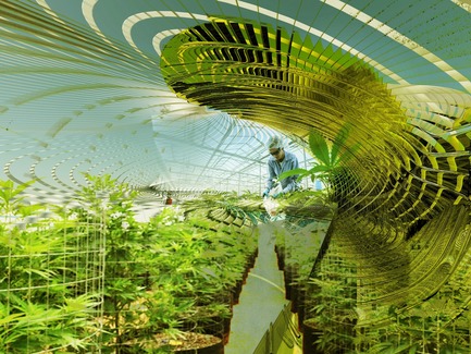 Press kit | 2121-10 - Press release | Sustainable Hemp and Medical Cannabis Farm - Margot Krasojević Architects - Industrial Architecture - medical marijuana inflatable growth interior view - Photo credit: Margot Krasojević