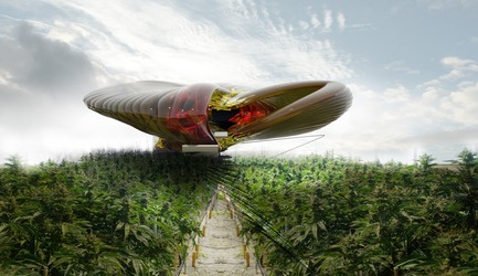 Press kit | 2121-10 - Press release | Sustainable Hemp and Medical Cannabis Farm - Margot Krasojević Architects - Industrial Architecture - View of external growth fields - Photo credit: Margot Krasojević