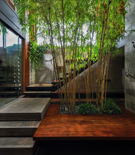Press kit | 3300-02 - Press release | Petaluma House - Trevor McIvor Architect Inc - Residential Architecture - The feature floating stair with open-riser metal and concrete treads. Waterfall and bamboo vegetation and mahogany detailing. - Photo credit: Adrian Ozimek