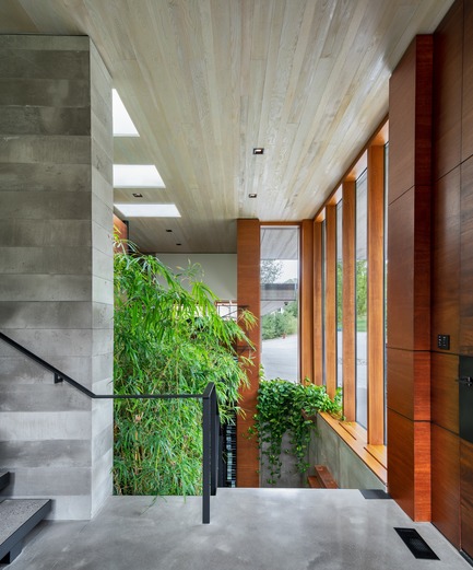 Press kit | 3300-02 - Press release | Petaluma House - Trevor McIvor Architect Inc - Residential Architecture - Entrance hallway looking down at feature stair leading to lower level. Double-height space filled with natural daylight and natural bamboo plants. - Photo credit: Adrian Ozimek