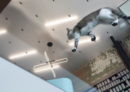Dossier de presse | 1560-02 - Communiqué de presse | Hôpital Vétérinaire du Parc - TBA / Thomas Balaban Architecte - Design d’intérieur commercial -  Plafond de verre<br><br>  - Crédit photo : Adrien Williams