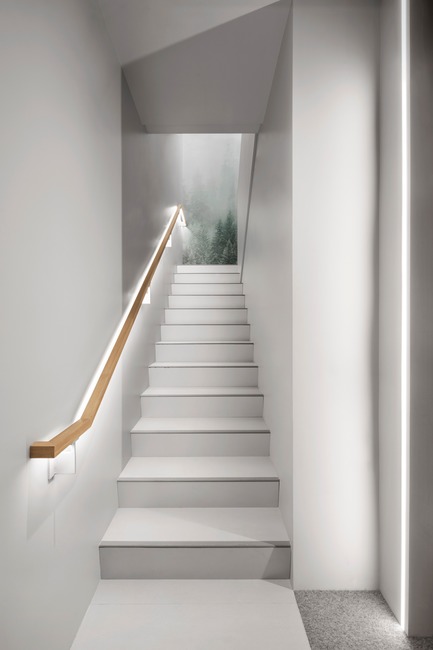 Dossier de presse | 1560-02 - Communiqué de presse | Hôpital Vétérinaire du Parc - TBA / Thomas Balaban Architecte - Design d’intérieur commercial - Escalier principal - Crédit photo : Adrien Williams