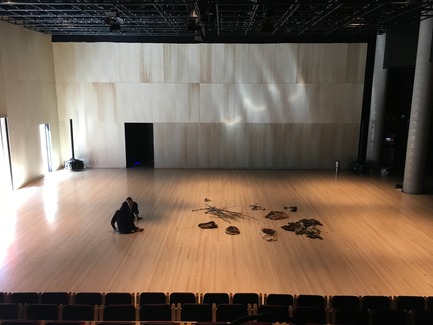 Dossier de presse | 675-13 - Communiqué de presse | L’Édifice Wilder – Espace Danse obtient la certification LEED NC, niveau argent - Ædifica - Architecture institutionnelle - L’Édifice Wilder – Espace Danse&nbsp;<br>CONSORTIUM : Lapointe Magne + Ædifica - Crédit photo : Michel Brunelle
