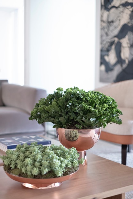 Dossier de presse | 3039-02 - Communiqué de presse | RBI Apartment - Coletivo Arquitetos - Design d’intérieur résidentiel - Living Room - Crédit photo : Ruy Teixeira&nbsp;