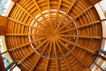 Dossier de presse | 3544-04 - Communiqué de presse | Muku Nursery School - Tezuka Architects - Architecture commerciale - Crédit photo : Katsuhisa Kida/FOTOTECA