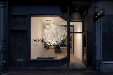 Press kit | 1607-08 - Press release | DesignTO is Where Art & Design Meet this January! - DesignTO - Event + Exhibition - Aletheia at Aesop by Philip Beesley -&nbsp;'Aletheia’ is a pensive installation designed by Philip Beesley of Living Architecture Systems Group. The display features a spherical meshwork of spines, fronds, and densely massed glasswork, outlined by a lace-like membrane that motions in responsiveness to its environment. @designTOfestival. #AesopSkinCare #DesignTO19 - Photo credit:  John Alunan<br> 