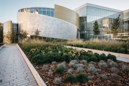 Press kit | 2073-09 - Press release | Discover the new Royal Alberta Museum - DIALOG - Institutional Architecture - The Isabella Courtyard is the exact alignment of the historic 104 Avenue that was lost to downtown development. The courtyard features Western Alberta plantings like Lodgepole Pine and Black Spruce. - Photo credit: Tom Arban Photography Inc