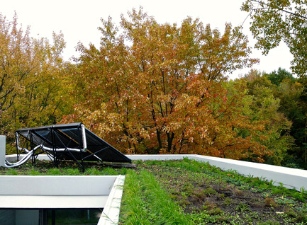 Press kit | 1036-01 - Press release | Ecologia Montreal - Gervais Fortin - Residential Interior Design - Photo credit: Alexandre Parent