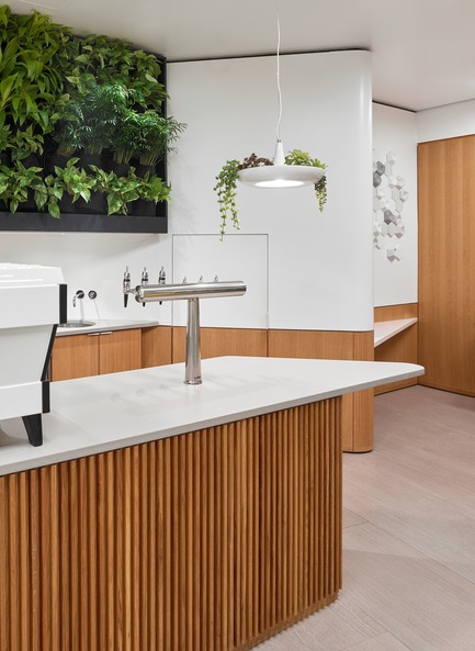 Press kit | 2682-01 - Press release | Innovation Through Design - The Symbiotic Link Between Branding and Architecture - Williamson Williamson Inc. - Commercial Interior Design -    Pilot First Canadian Place Cafe: Undulating walls with white oak wainscoting provide a backdrop for living walls and the planted Babylon Lights by object/interface.&nbsp;<br>[Completion Date: September 2017]<br>     - Photo credit: Scott Norsworthy