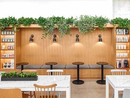 Press kit | 2682-01 - Press release | Innovation Through Design - The Symbiotic Link Between Branding and Architecture - Williamson Williamson Inc. - Commercial Interior Design -   Pilot Ossington Ave. Cafe: The lush plantings add texture and warmth to the cafe throughout the year.&nbsp;<br>[Completion Date: 2019]<br>   - Photo credit: Scott Norsworthy