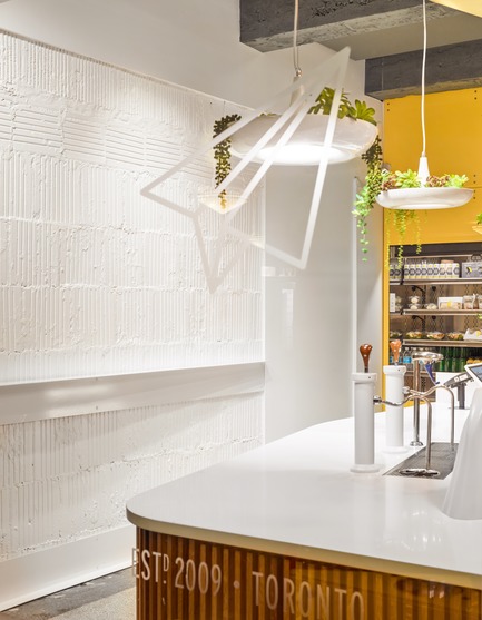 Press kit | 2682-01 - Press release | Innovation Through Design - The Symbiotic Link Between Branding and Architecture - Williamson Williamson Inc. - Commercial Interior Design -    Pilot Union Station Cafe: A view through the front window shows the custom powder coated Mod Bar and Babylon Lights by object/interface planted with succulents.&nbsp;<br>[Completion Date: December 2017]<br>    - Photo credit: Scott Norsworthy