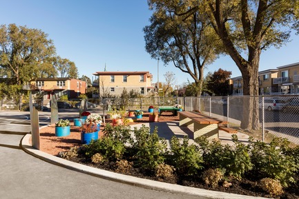 Press kit | 1299-03 - Press release | École Sainte-Anne - A new redesigned schoolyard - Taktik design - Institutional Architecture - Garden &amp; plants area - Photo credit: Maxime Brouillet