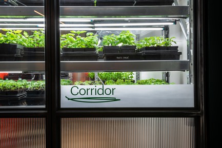 Press kit | 1619-08 - Press release | Corridor Gallery Presents "Jardin de Passage" - Lambert & Fils - Event + Exhibition -  Corridor presents its second exhibition, a living installation investigating the intersection of art, design and nature.  - Photo credit: Arseni Khamzin