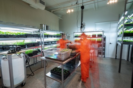 Press kit | 1619-08 - Press release | Corridor Gallery Presents "Jardin de Passage" - Lambert & Fils - Event + Exhibition - Nancy Guilmette transforms Corridor into a greenhouse-gallery. - Photo credit: Arseni Khamzin