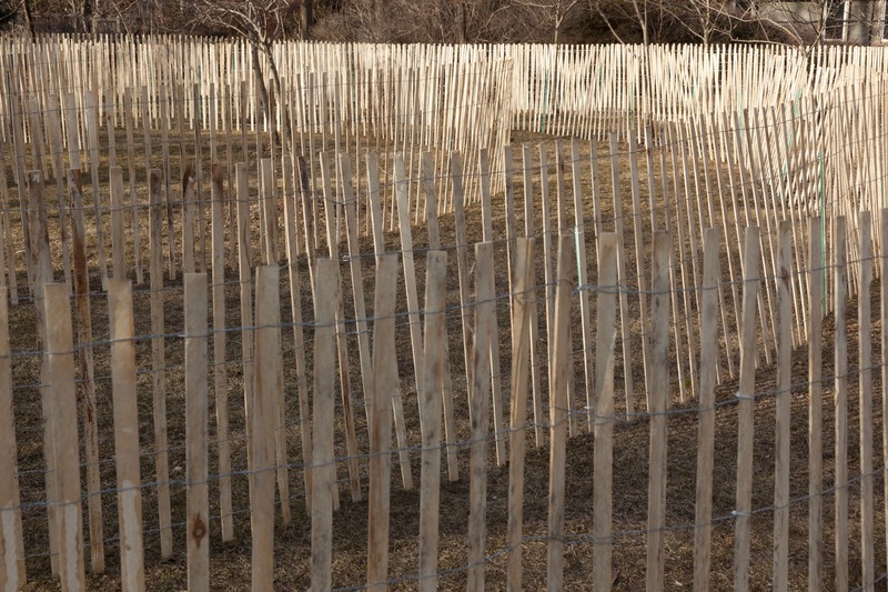 Dossier de presse | 3882-01 - Communiqué de presse | « Long Division » : frontières, limites et barricades - LeuWebb Projects - Art - Crédit photo : Darren Rigo