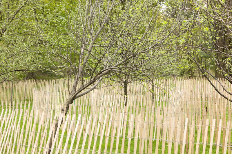 Dossier de presse | 3882-01 - Communiqué de presse | « Long Division » : frontières, limites et barricades - LeuWebb Projects - Art - Crédit photo : Gerald Allain
