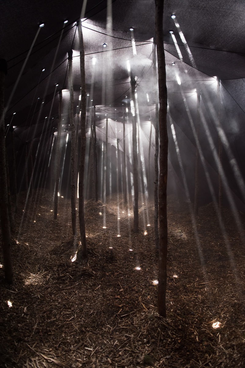 Press kit | 837-33 - Press release | The International Garden Festival Celebrates its 20th Edition - Playgrounds - International Garden Festival | Reford Gardens - Landscape Architecture - Forêt<br>Mathilde Leveau &amp; Ronan Virondaud<br>– Québec (Québec) Canada  - Photo credit: Martin Bond