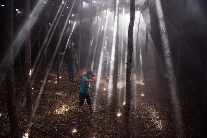 Press kit | 837-33 - Press release | The International Garden Festival Celebrates its 20th Edition - Playgrounds - International Garden Festival | Reford Gardens - Landscape Architecture - Forêt<br>Mathilde Leveau &amp; Ronan Virondaud<br>– Québec (Québec) Canada  - Photo credit: Martin Bond