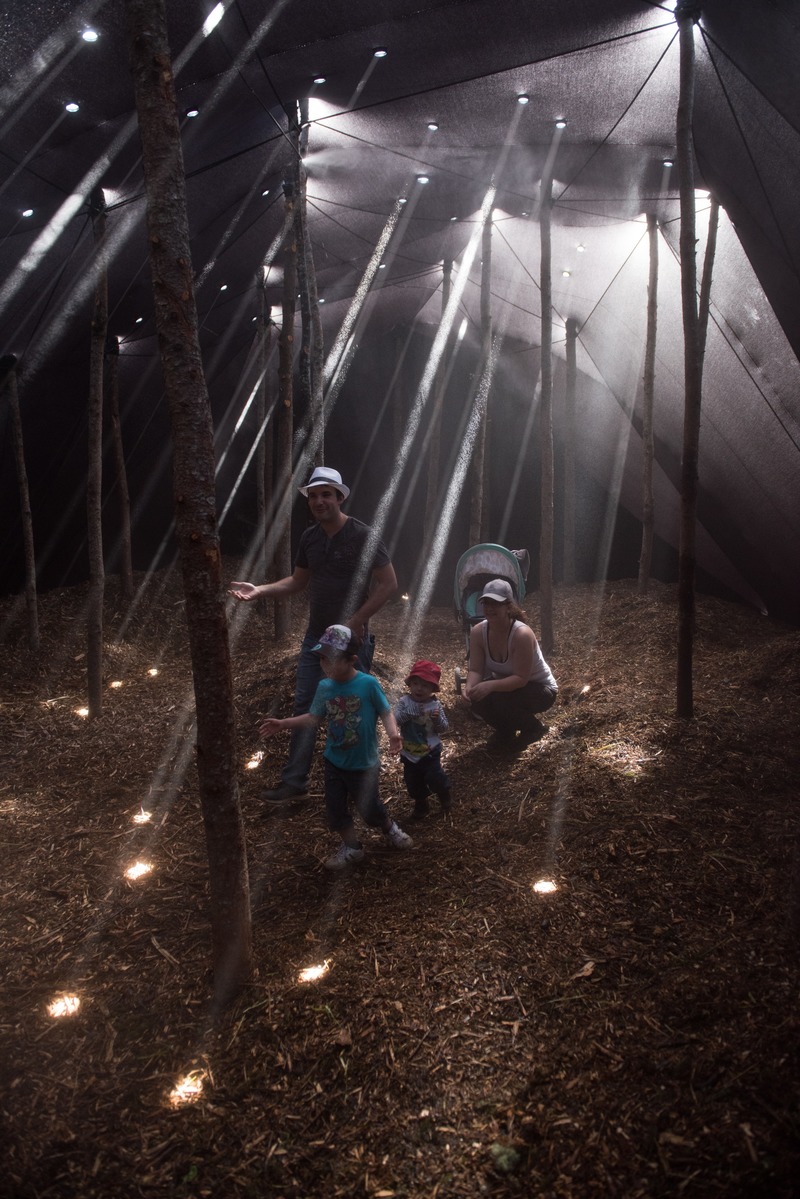 Press kit | 837-33 - Press release | The International Garden Festival Celebrates its 20th Edition - Playgrounds - International Garden Festival | Reford Gardens - Landscape Architecture - Forêt<br>Mathilde Leveau &amp; Ronan Virondaud<br>– Québec (Québec) Canada  - Photo credit: Martin Bond