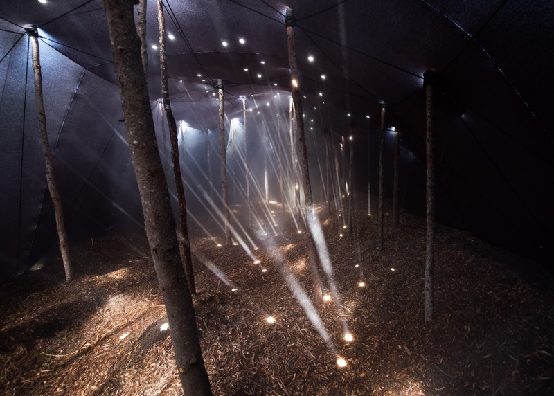 Press kit | 837-33 - Press release | The International Garden Festival Celebrates its 20th Edition - Playgrounds - International Garden Festival | Reford Gardens - Landscape Architecture - Forêt<br>Mathilde Leveau &amp; Ronan Virondaud<br>– Québec (Québec) Canada  - Photo credit: Martin Bond