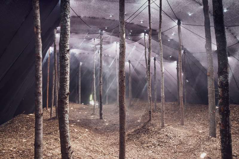 Press kit | 837-33 - Press release | The International Garden Festival Celebrates its 20th Edition - Playgrounds - International Garden Festival | Reford Gardens - Landscape Architecture - Forêt<br>Mathilde Leveau &amp; Ronan Virondaud<br>– Québec (Québec) Canada - Photo credit: Jean-Christophe Lemay
