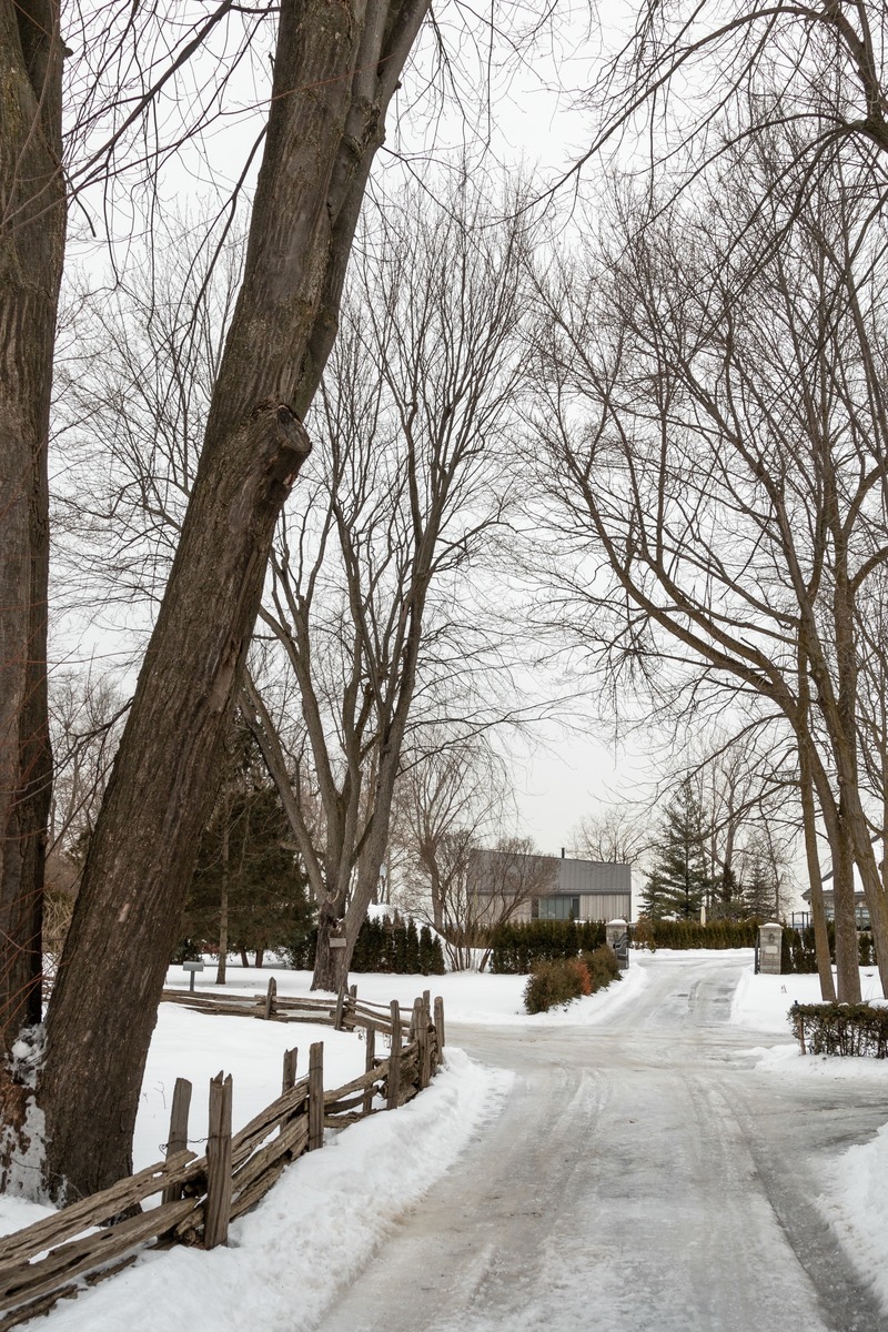 Dossier de presse | 721-10 - Communiqué de presse | Résidence Langlois-Lessard - Chevalier Morales - Architecture résidentielle - Crédit photo : Chevalier Morales