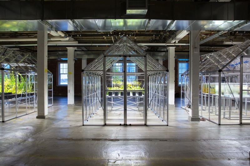 Dossier de presse | 1204-10 - Communiqué de presse | LMCC’s Arts Center Opens on Historic Governors Island - Pei Cobb Freed & Partners - Architecture institutionnelle -  Inaugural exhibition, October 2019  - Crédit photo : David Gonsier