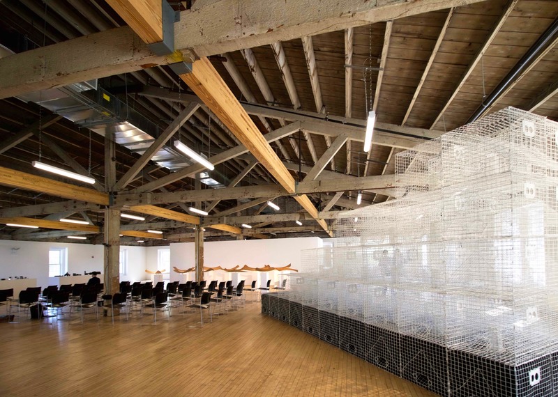 Dossier de presse | 1204-10 - Communiqué de presse | LMCC’s Arts Center Opens on Historic Governors Island - Pei Cobb Freed & Partners - Architecture institutionnelle -  Inaugural exhibition, October 2019  - Crédit photo : Nicole Saraniero / Untapped Cities