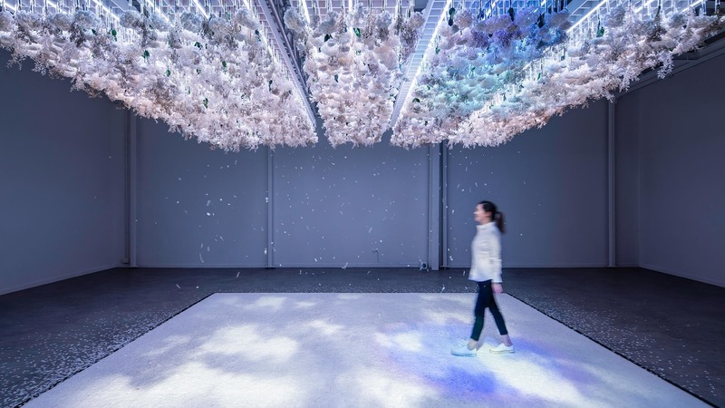 Dossier de presse | 3160-06 - Communiqué de presse | Frame Awards 2020 Nominees Announced - Frame - Concours - The Art of Bloom - Exhibition of the Year<br style=""> - Crédit photo : Daikoku Design Institute<br style="">