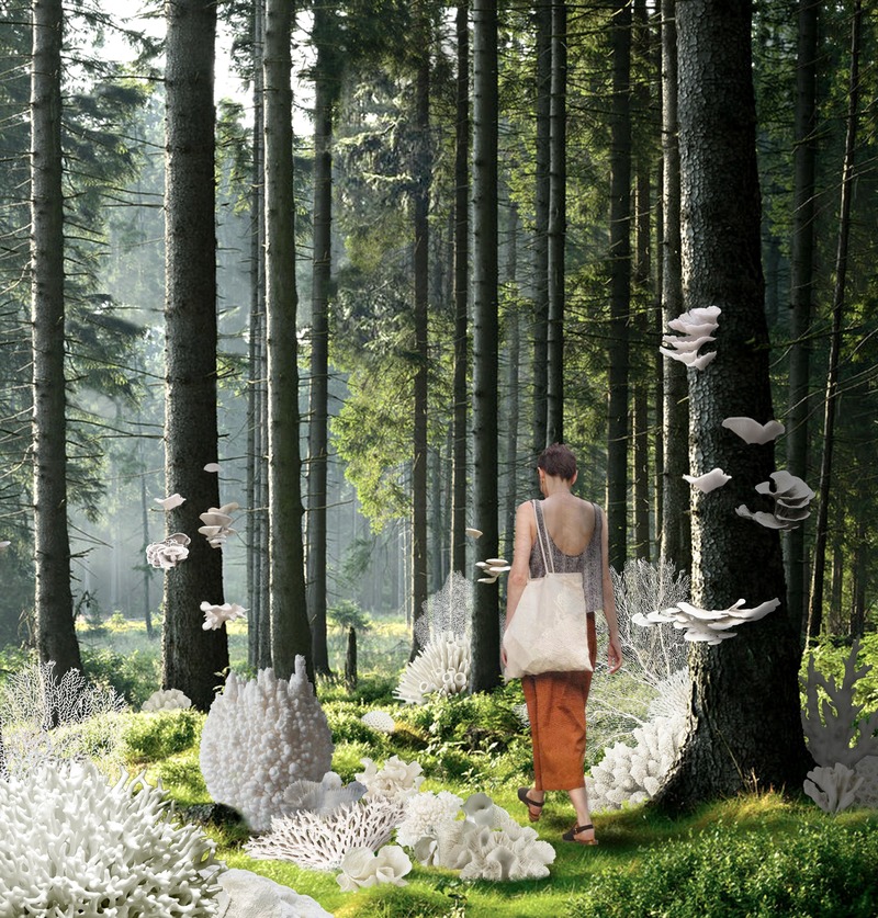 Press kit | 837-34 - Press release | The International Garden Festival Announces the Designers of the Gardens for its 21st Edition - International Garden Festival | Reford Gardens - Landscape Architecture -                  <p class="">Forêt corallienne</p>  <p class="">by Lucie Bulot, Architect, Paris (France) and Dylan Collins, Designer</p>  <p class="">Montreal (Quebec) Canada</p>    - Photo credit:  <p class="">Lucie Bulot, Architect, Paris (France) and Dylan Collins, Designer</p><p class="">Montreal (Quebec) Canad</p> 