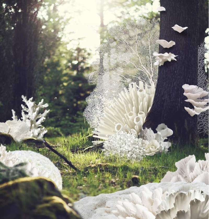 Press kit | 837-34 - Press release | The International Garden Festival Announces the Designers of the Gardens for its 21st Edition - International Garden Festival | Reford Gardens - Landscape Architecture -                  <p class="">Forêt corallienne</p>  <p class="">by </p><p class="">Lucie Bulot, Architect, Paris (France) and Dylan Collins, Designer</p><p class="">Montreal (Quebec) Canada</p>    - Photo credit:  <p class="">Lucie Bulot, Architect, Paris (France) and Dylan Collins, Designer</p><p class="">Montreal (Quebec) Canada</p> 