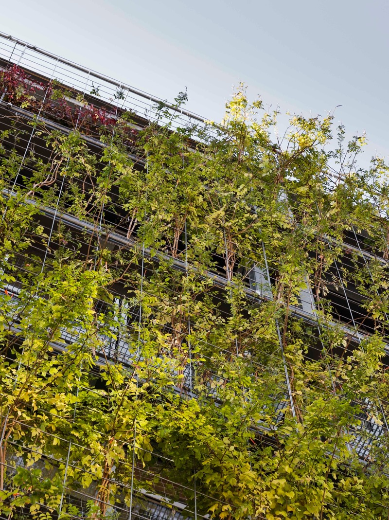 Dossier de presse | 4080-01 - Communiqué de presse | Turó de la Peira's Sports Center and layout of the interior urban block - Arquitectura Anna Noguera - Architecture institutionnelle - Turó de la Peira: Hydroponic Green facade - Crédit photo : Enric Duch