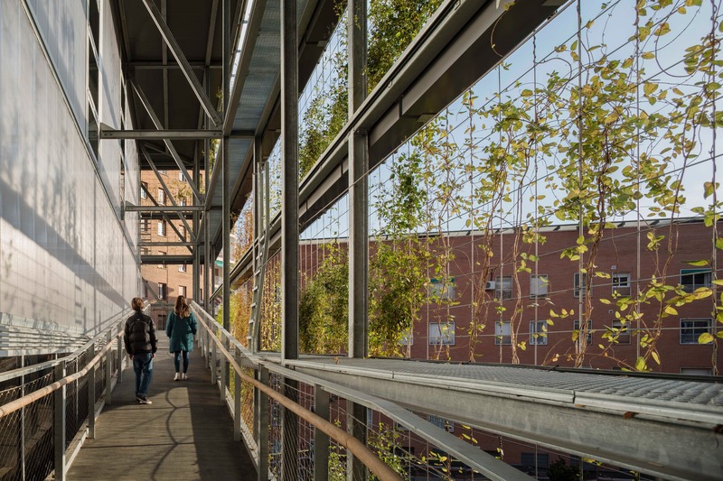 Dossier de presse | 4080-01 - Communiqué de presse | Turó de la Peira's Sports Center and layout of the interior urban block - Arquitectura Anna Noguera - Architecture institutionnelle - <p class="">Turó de la Peira: Acces through a green gallery</p> - Crédit photo : Enric Duch